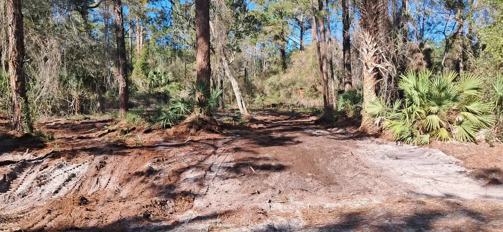 Commercial Land for sale at 120 Gardenia Avenue, FL 32139