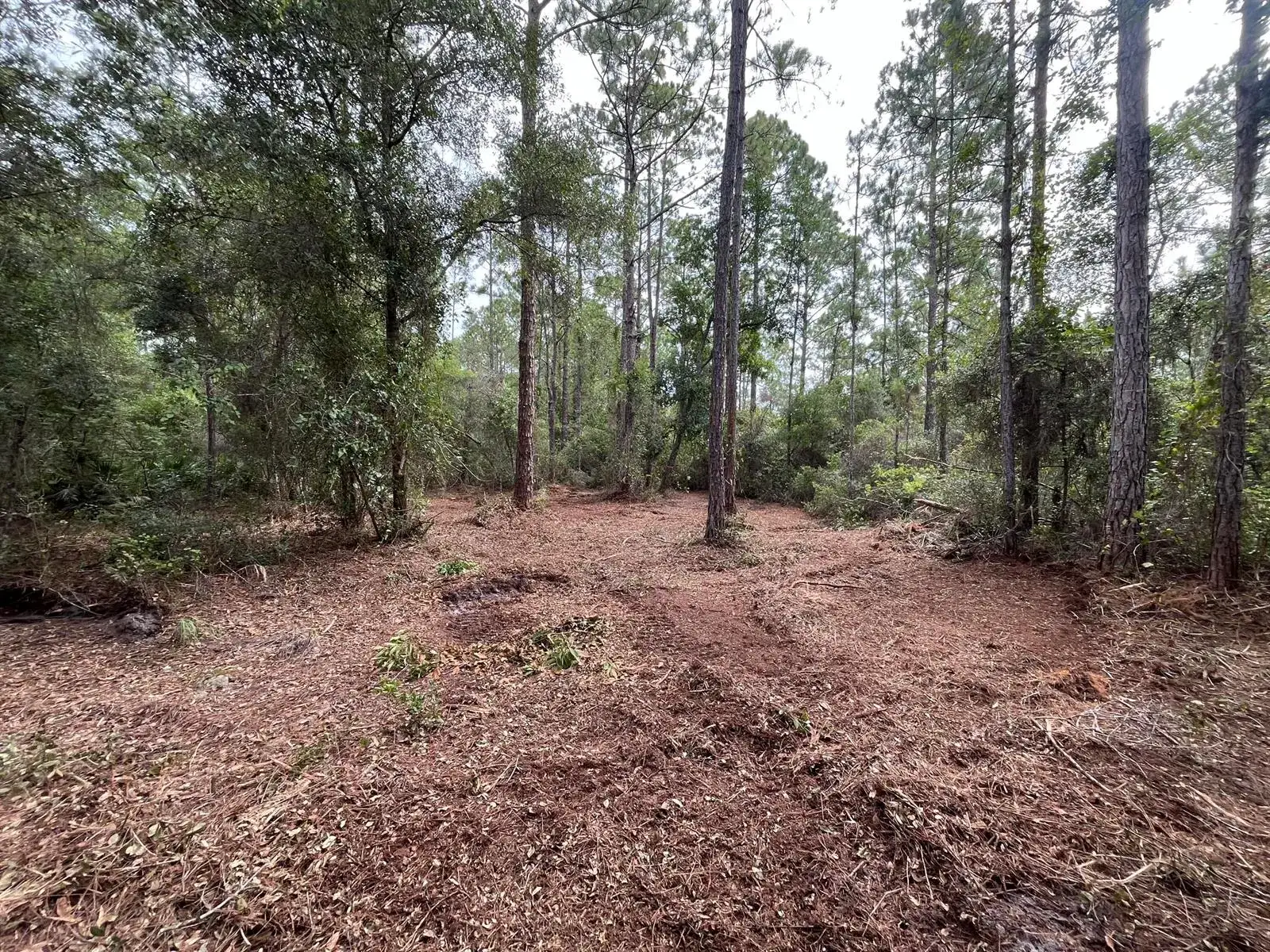 Commercial Land for sale at 122 Glenside Street, FL 32139