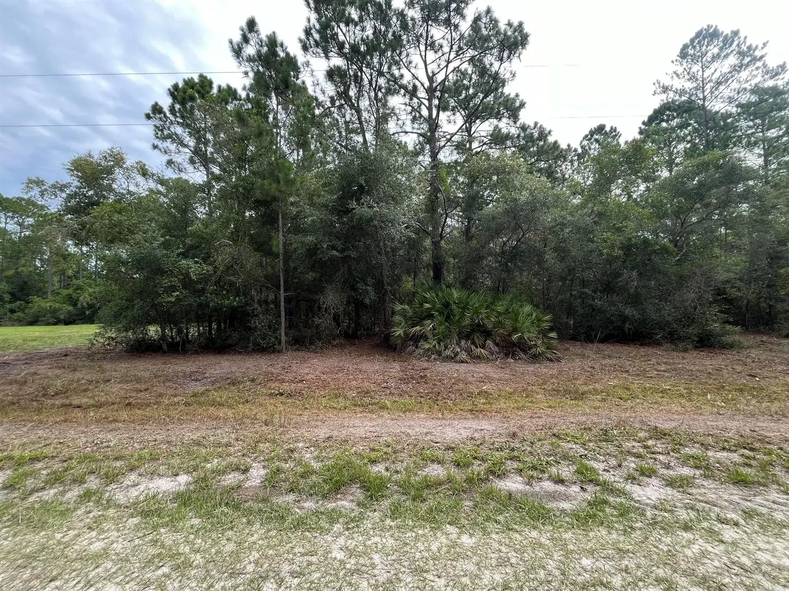 Commercial Land for sale at 124 Glenside Street, FL 32139