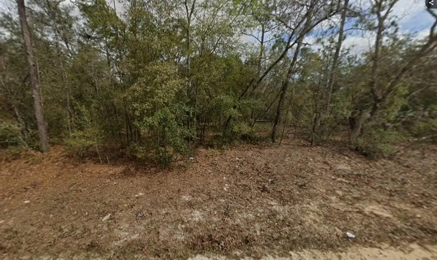 Commercial Land for sale at Lot 28 Janet Avenue, FL 32148