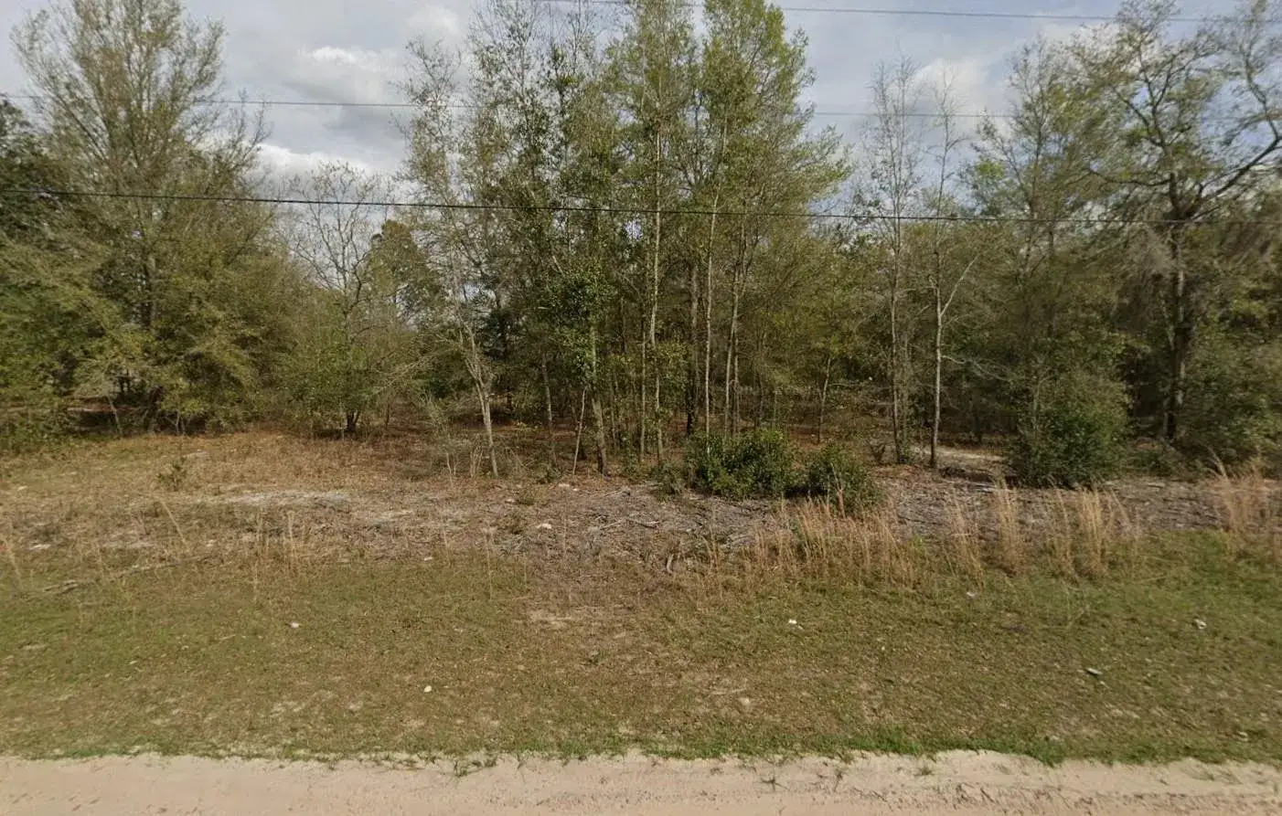 Commercial Land for sale at Tbd Marion Avenue, FL 32148