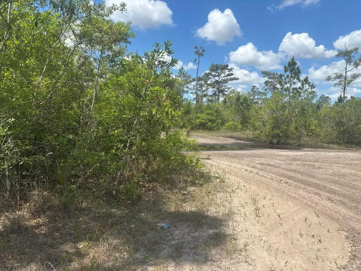 Commercial Land for sale at 0 Holopaw Groves Road, FL 34772