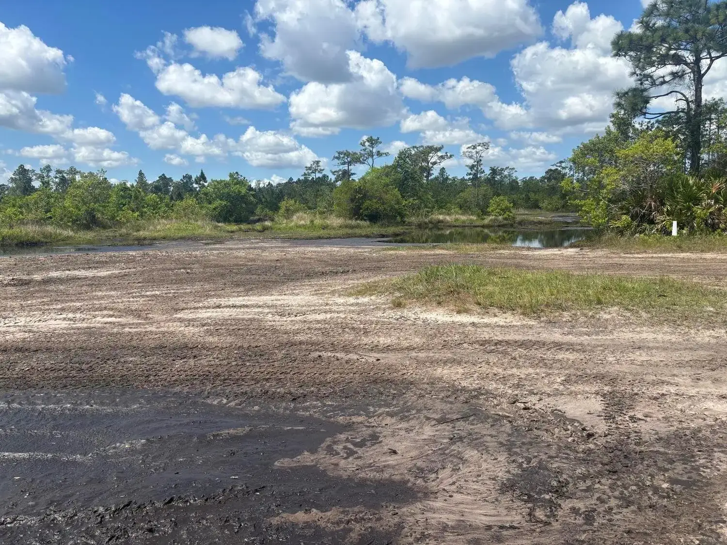 Commercial Land for sale at 0 Holopaw Groves Road, FL 34772