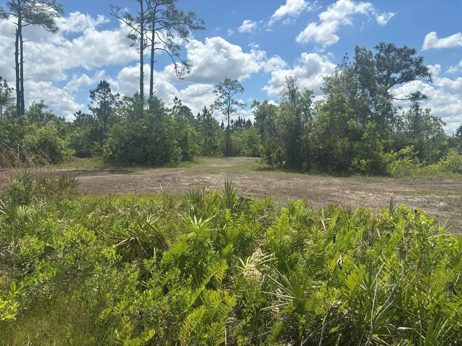 Commercial Land for sale at 0 Holopaw Groves Road, FL 34772
