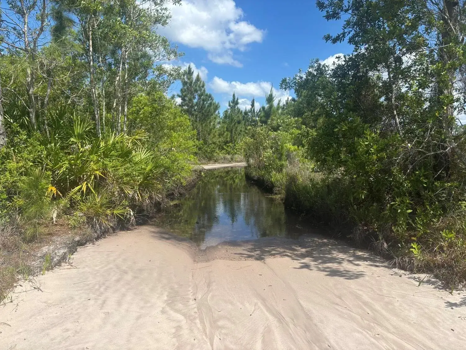 Commercial Land for sale at 0 Holopaw Groves Road, FL 34772