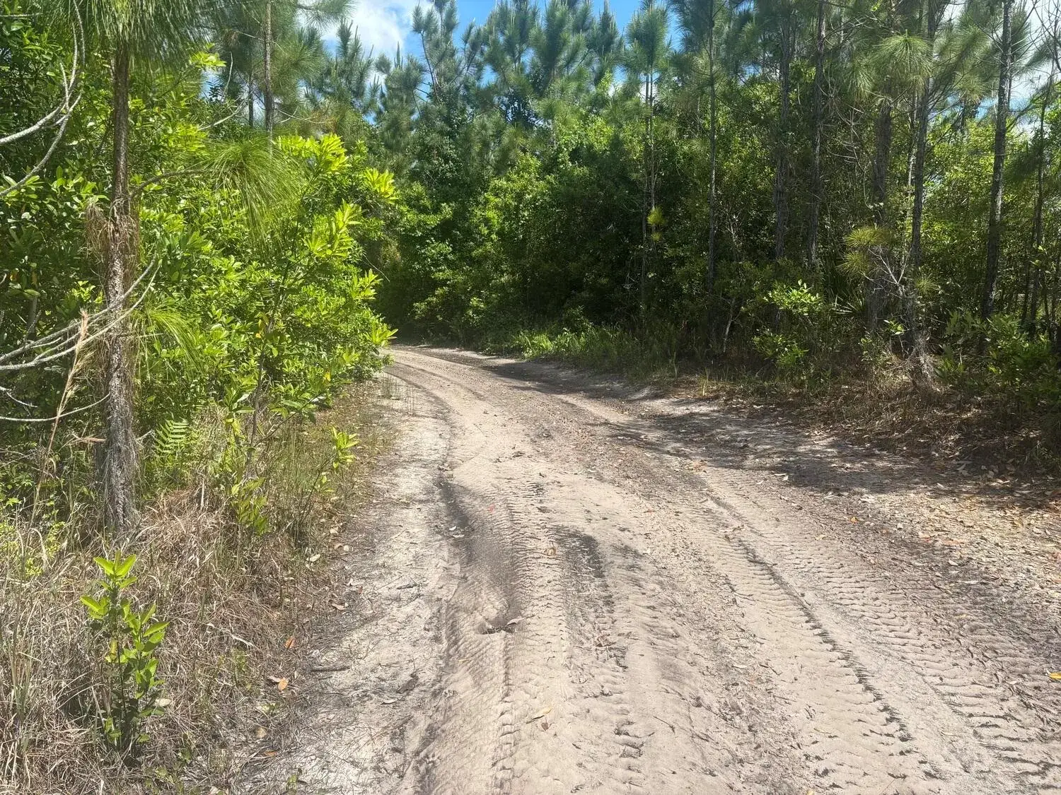 Commercial Land for sale at 0 Holopaw Groves Road, FL 34772