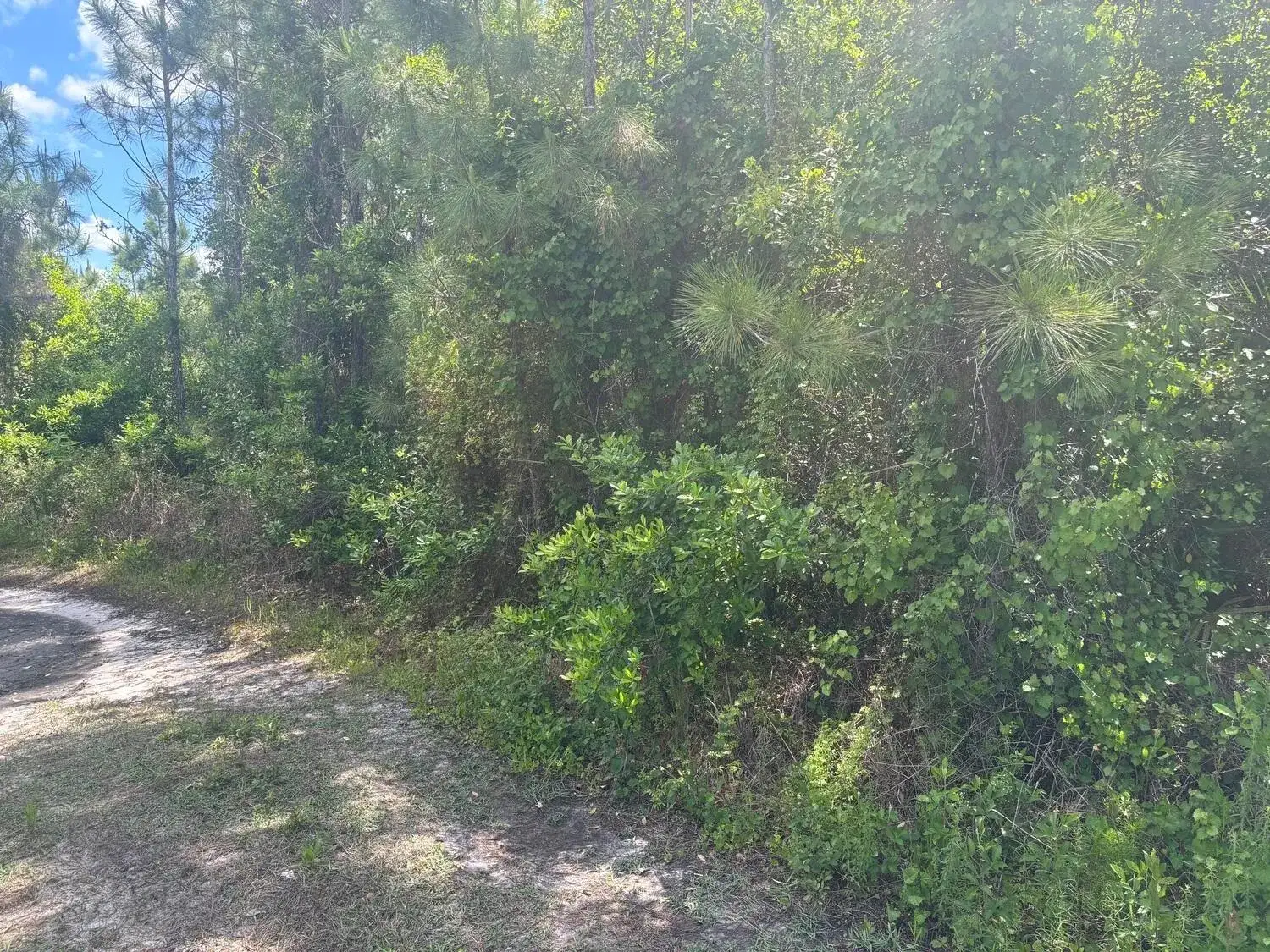 Commercial Land for sale at 0 Holopaw Groves Road, FL 34772