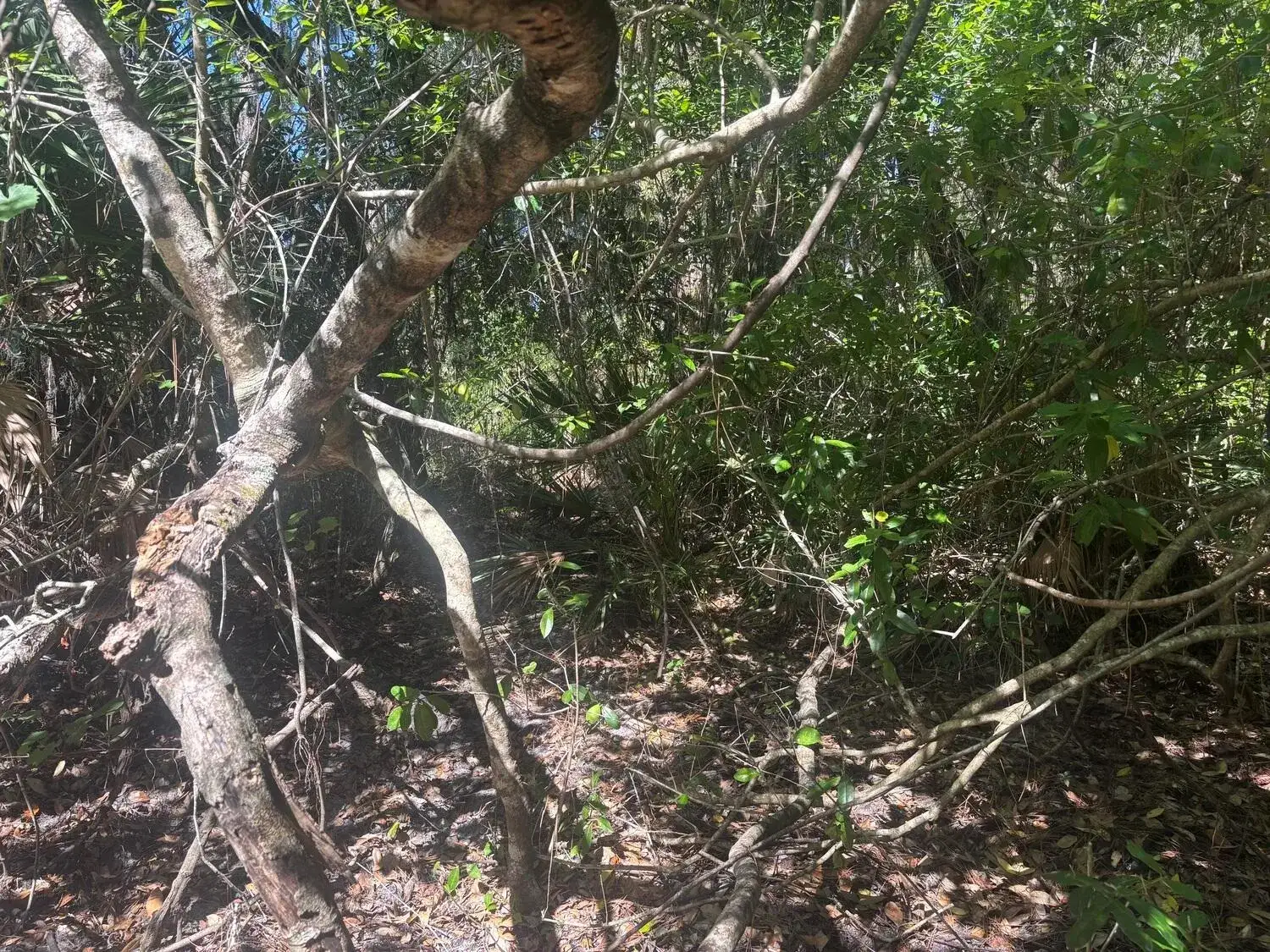 Land/Boat Docks for sale at 536 Bright Hill Avenue, Lake Placid FL 33852