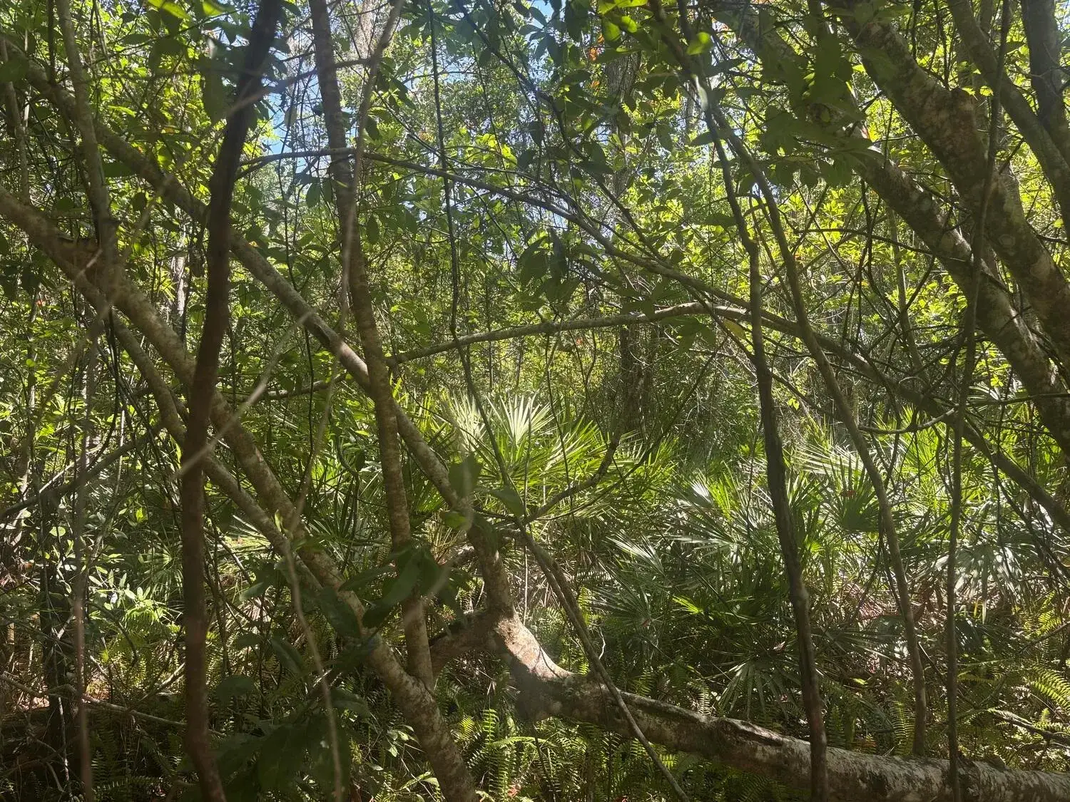 Land/Boat Docks for sale at 536 Bright Hill Avenue, Lake Placid FL 33852