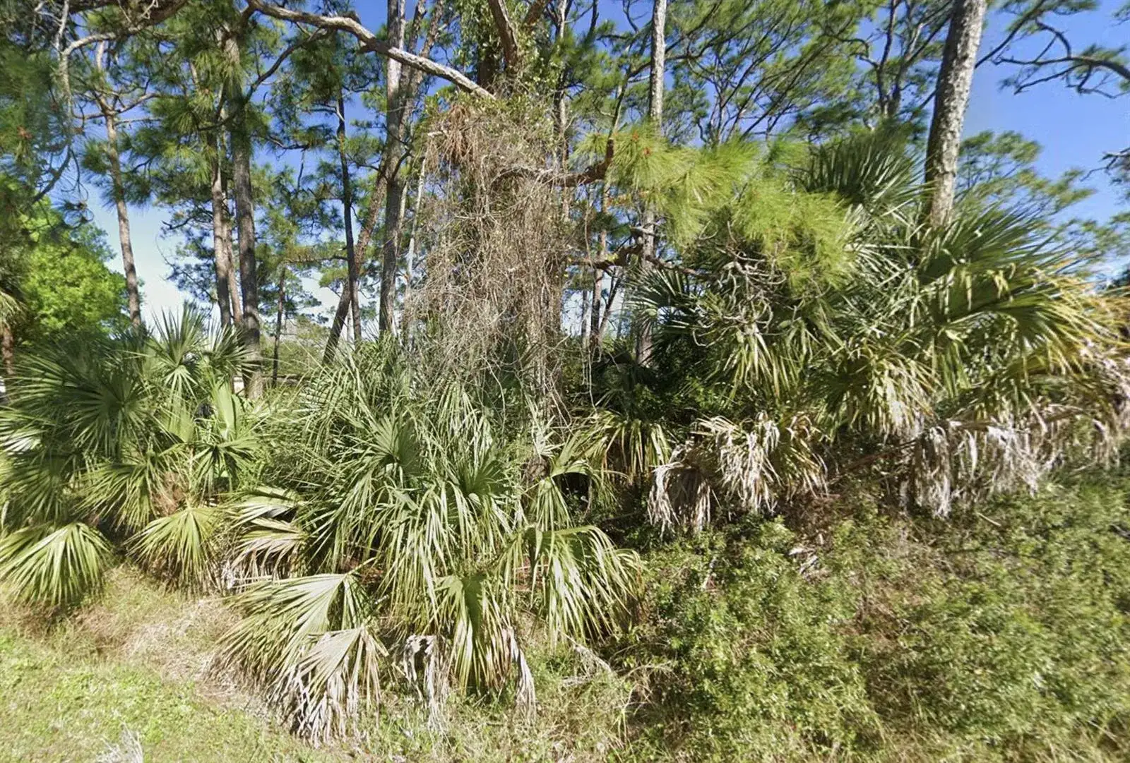 17301 Brynwood Lane, Okeechobee FL 34974