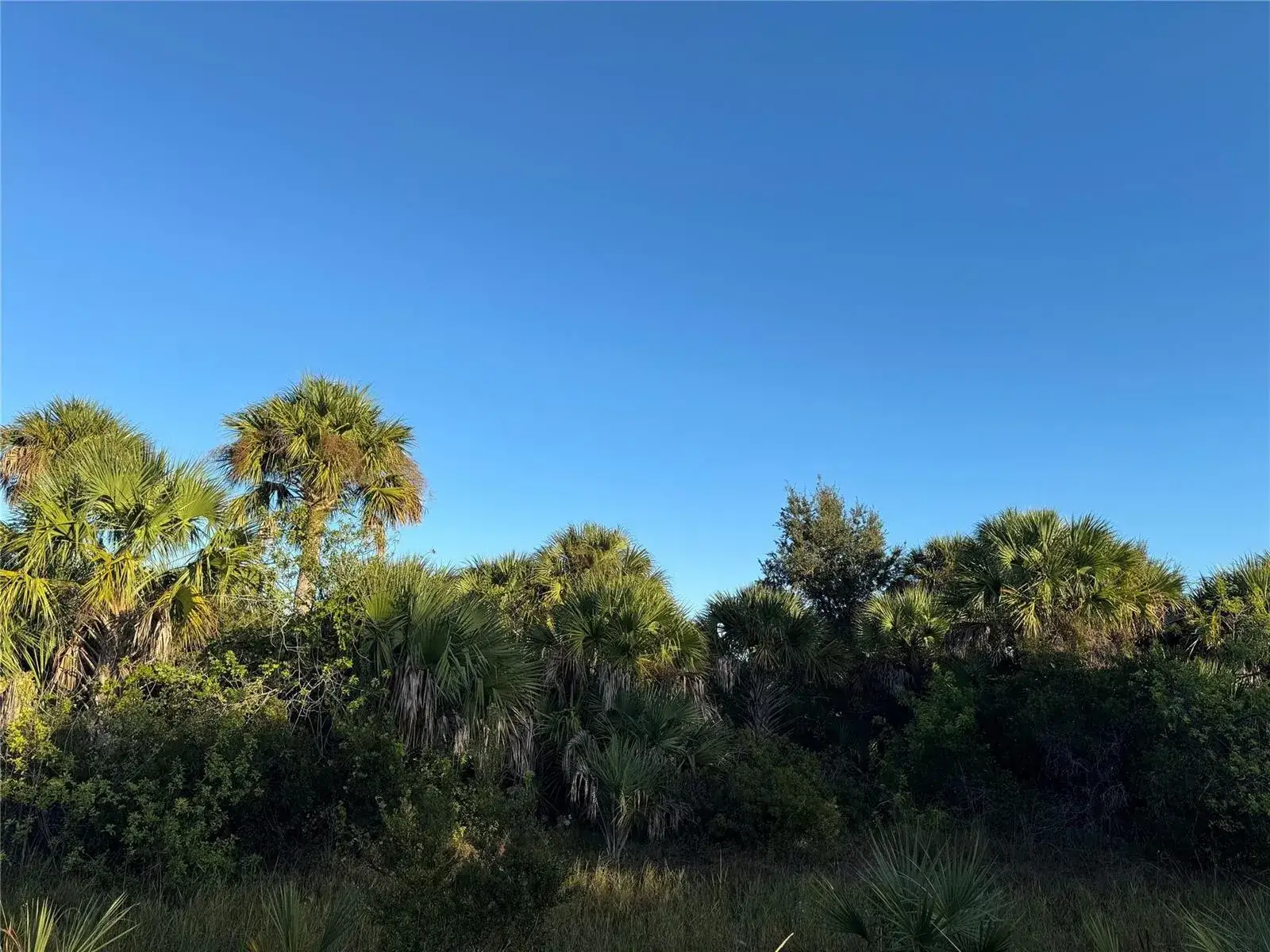 2025 Cabbage Lane, Okeechobee FL 34974