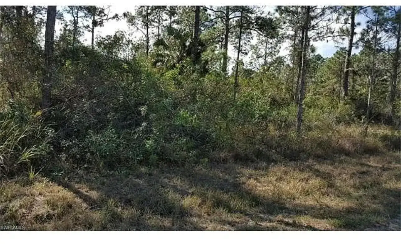 Land/Boat Docks for sale at 1042 Summa Boulevard, Lehigh Acres FL 33974