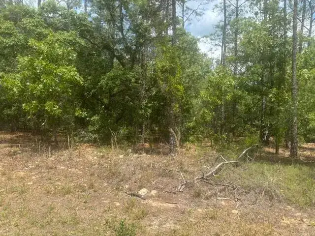 Land/Boat Docks for sale at 8593 N Bambury Terrace, FL 34434