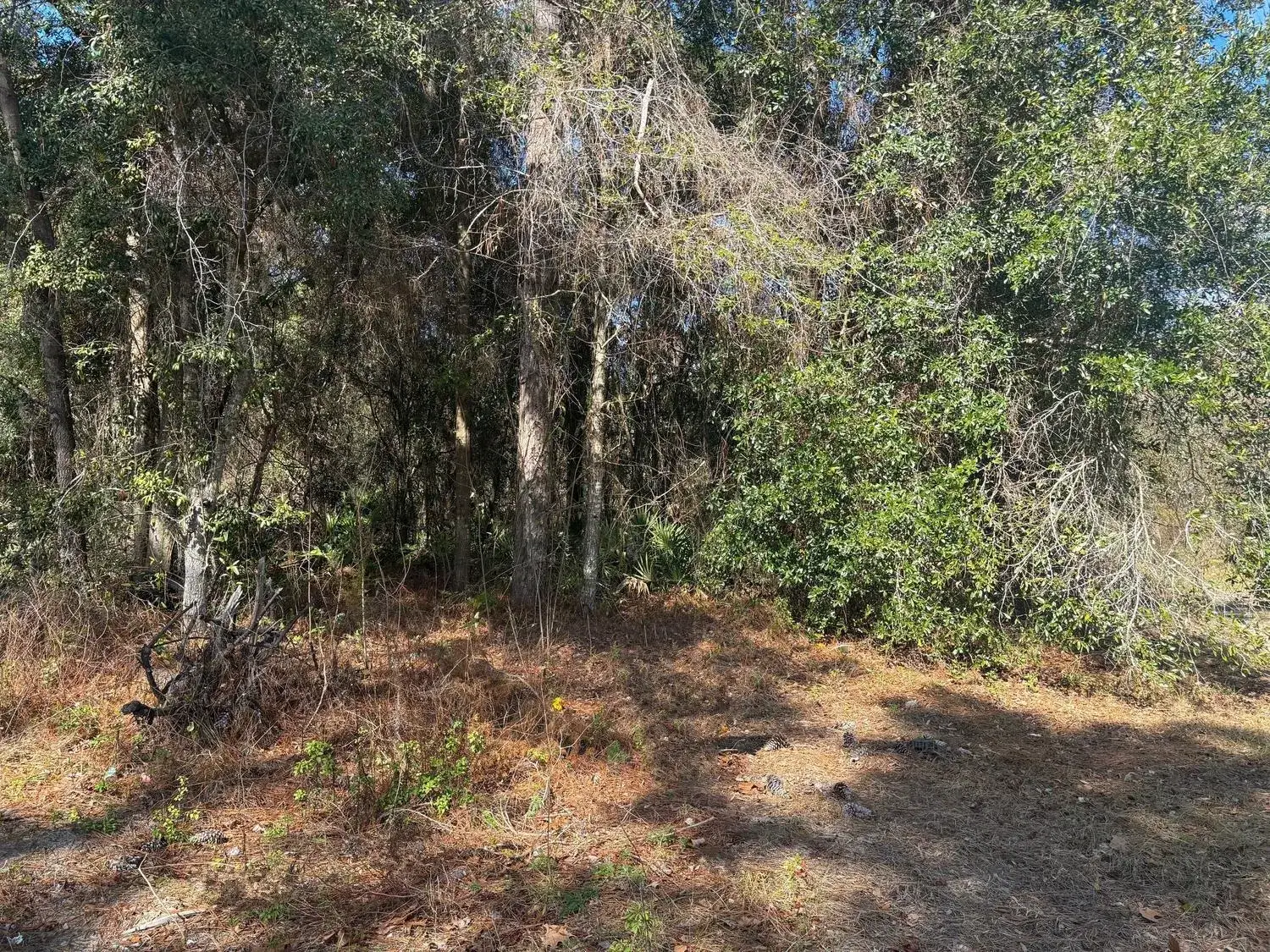 Land/Boat Docks for sale at 7178 W Wildfire Lane, FL 34448