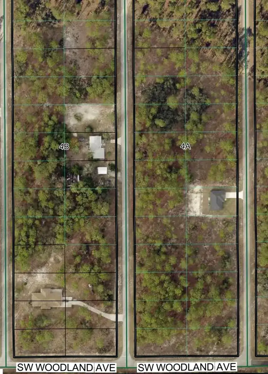 Land/Boat Docks for sale at Tbd SW Buena Vista Road, FL 34431