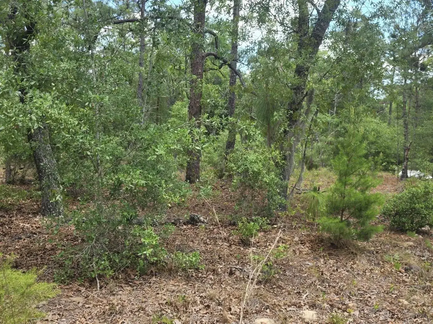 Land/Boat Docks for sale at 3199 Lich Street, Port Charlotte FL 33980