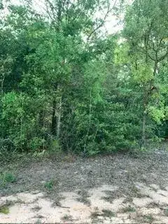 Commercial Land for sale at 0 Gardenia Drive, FL 32448