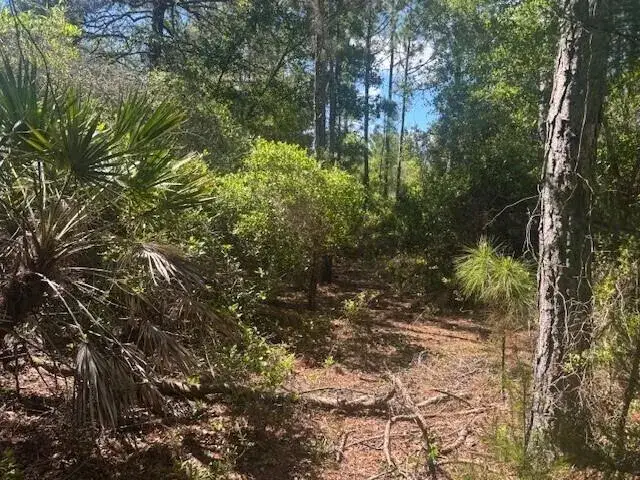 Commercial Land for sale at 0 Golden Shores Blvd, Mims FL 32754