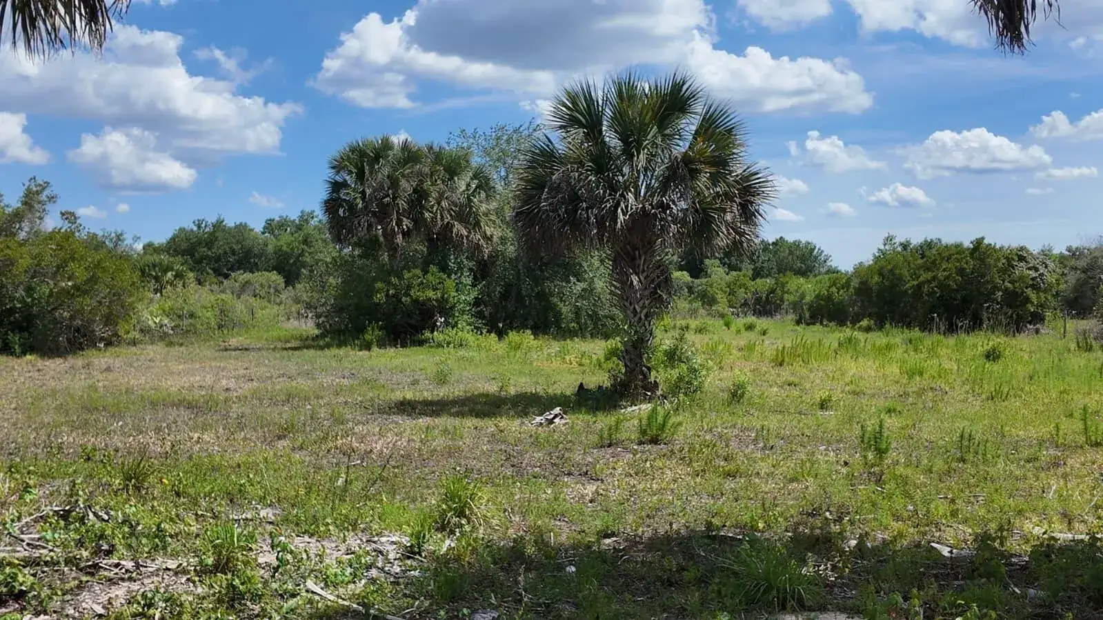Commercial Land for sale at 18980 NW 274th Street, Okeechobee FL 34972