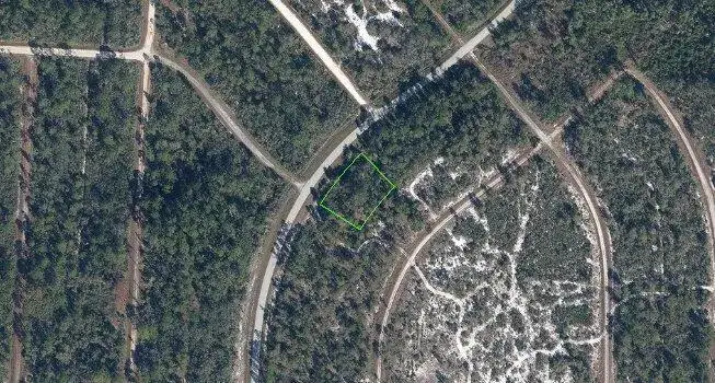 721 Wildflower Street, Lake Placid FL 33852
