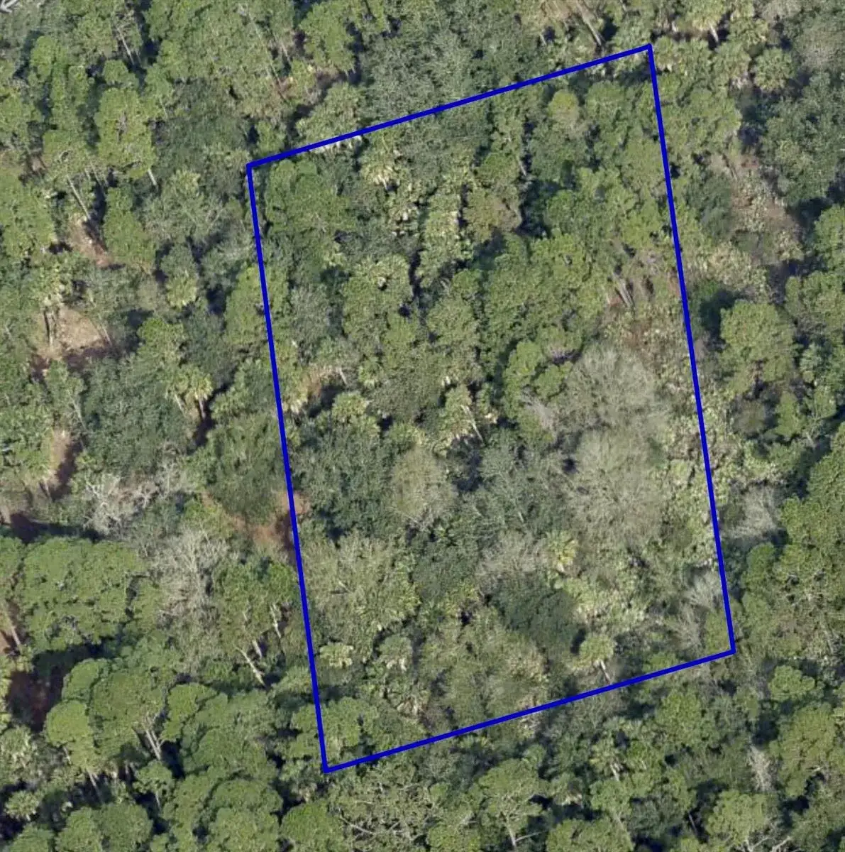 Commercial Land for sale at 0 Mario Avenue, FL 32926