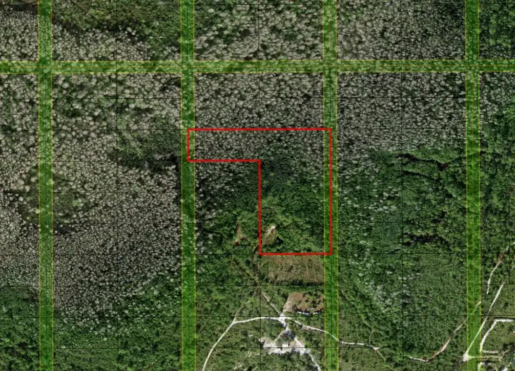 Commercial Land for sale at 0 Holopaw Groves Road, FL 34772