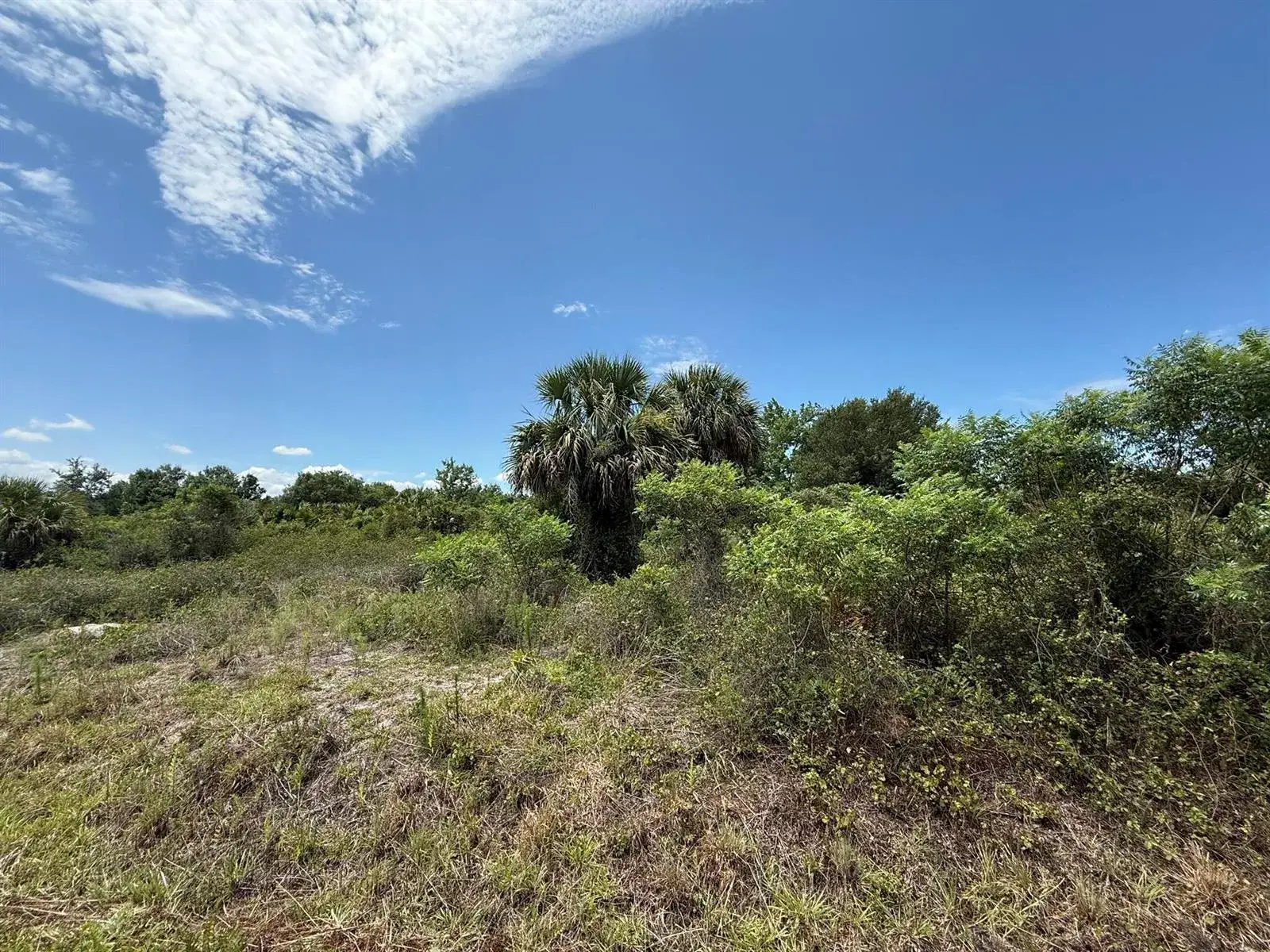 Commercial Land for sale at 20174 NW 268th Street, Okeechobee FL 34972