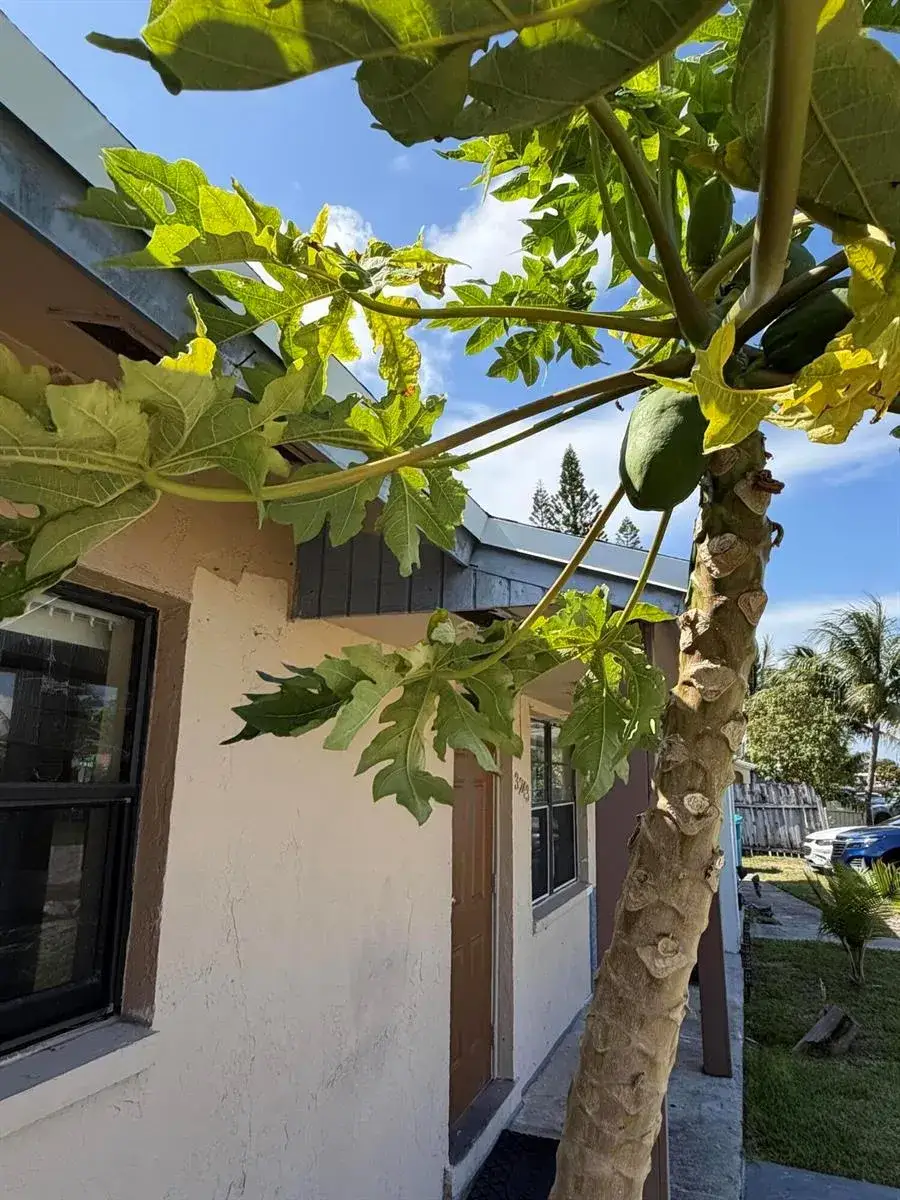 3 bedroom 1 bath Residential for sale at 3243 Grove Road, Boynton Beach FL 33435