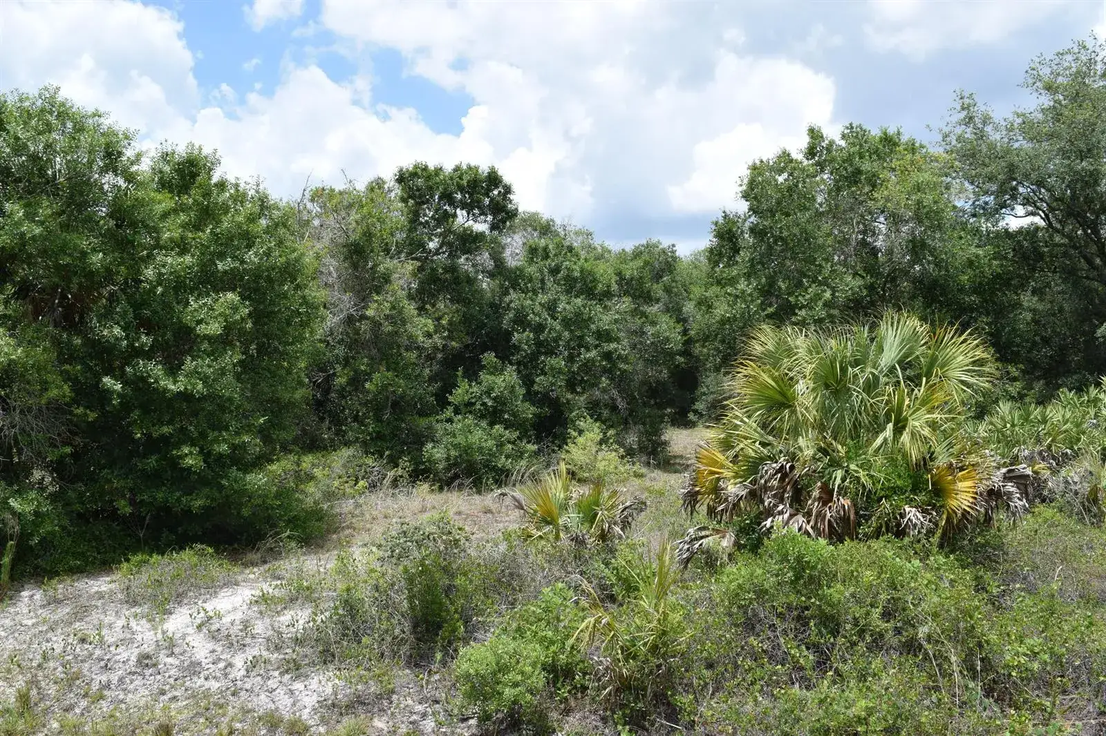 Commercial Land for sale at 17119 NW 276th Street, Okeechobee FL 34972