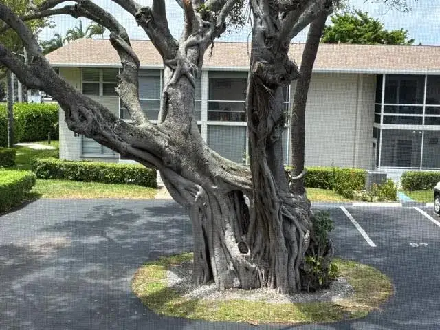 1 bedroom 1 bath Residential for sale at 620 Horizon W # 202, Boynton Beach FL 33435