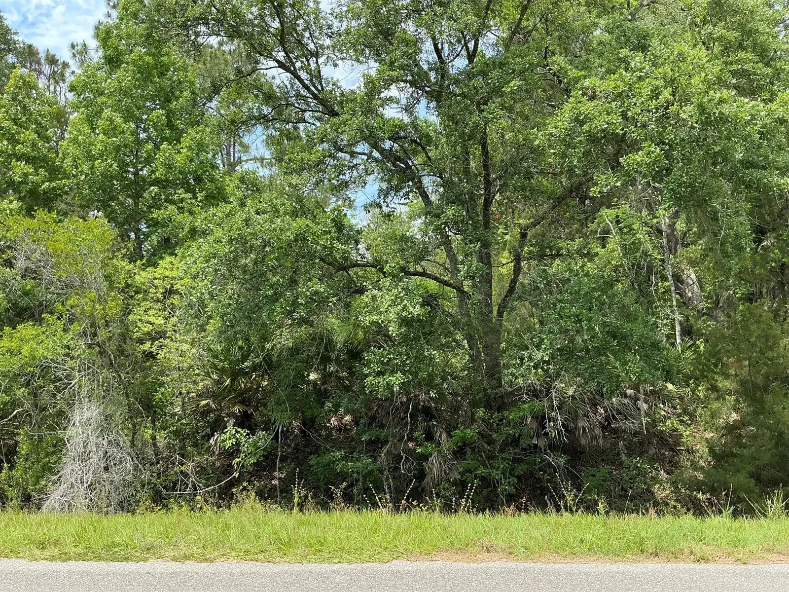 Land/Boat Docks for sale at 5020 Stephen Street, FL 32145