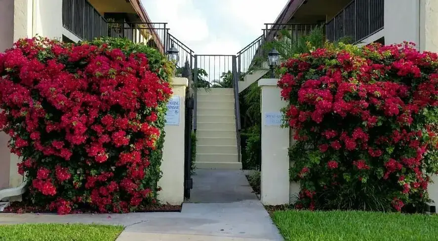 2 bedroom 2 bath Residential Lease for rent at 120 N M Street # L, FL 33460