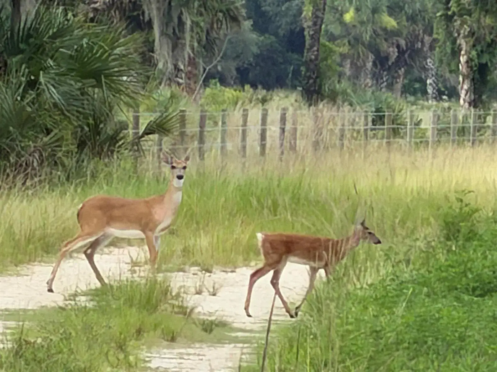 Land/Boat Docks for sale at 0 Co Rd 832, Clewiston FL 33440