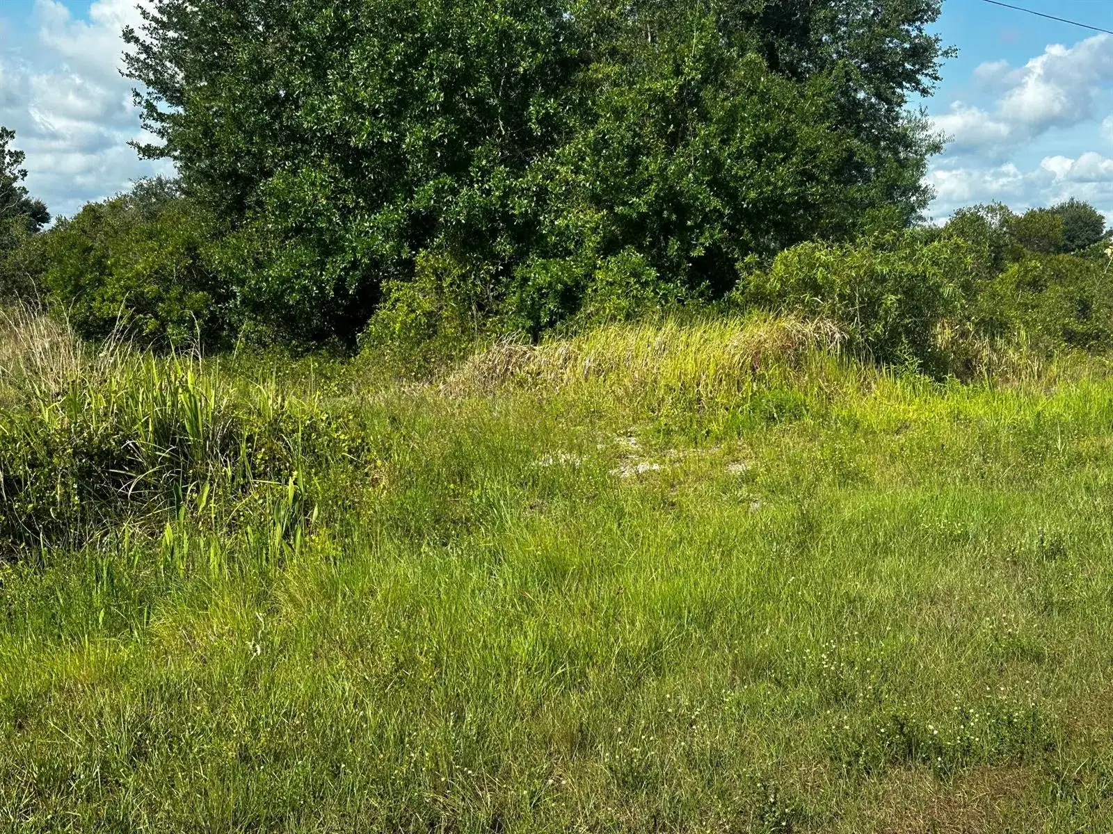 Commercial Land for sale at 15138 NW 262nd Street, Okeechobee FL 34972