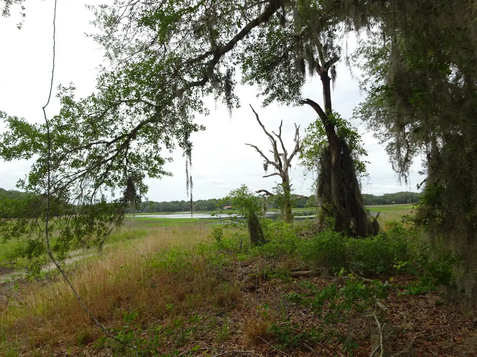Commercial Land for sale at 2208 SW Shorewood Drive, FL 34431