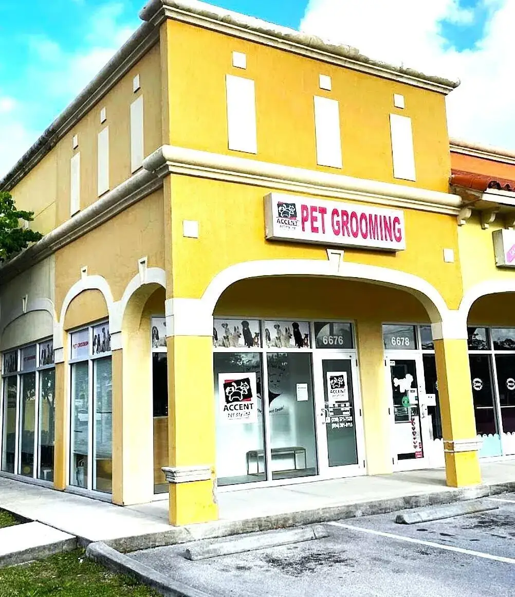Business Opportunity for sale at 6676 Stirling Road, Hollywood FL 33024