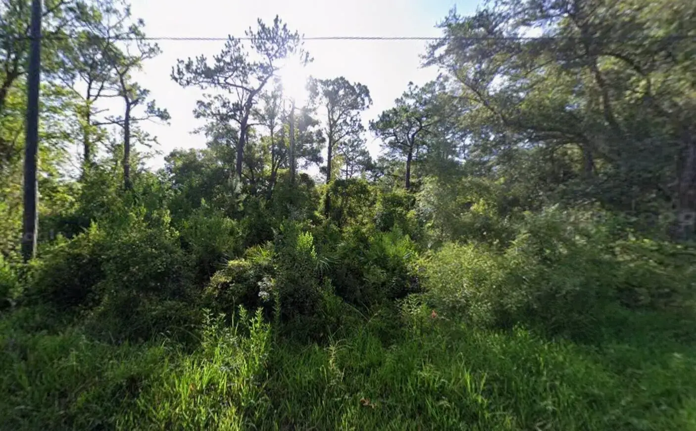 Commercial Land for sale at Tbd Atlee Street, New Port Richey FL 34654