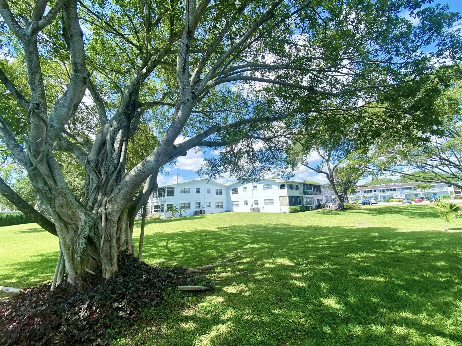 1 bedroom 1 bath Residential Lease for rent at 335 Farnham P, Deerfield Beach FL 33442