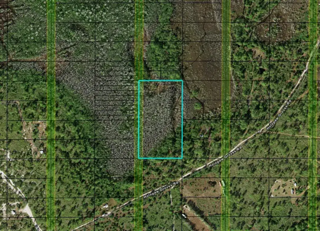Commercial Land for sale at 0 Holopaw Groves Road, FL 34772