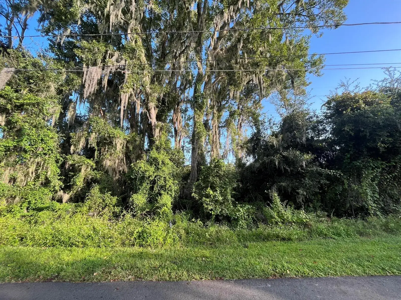 Commercial Land for sale at 262 Toms Road, FL 32713