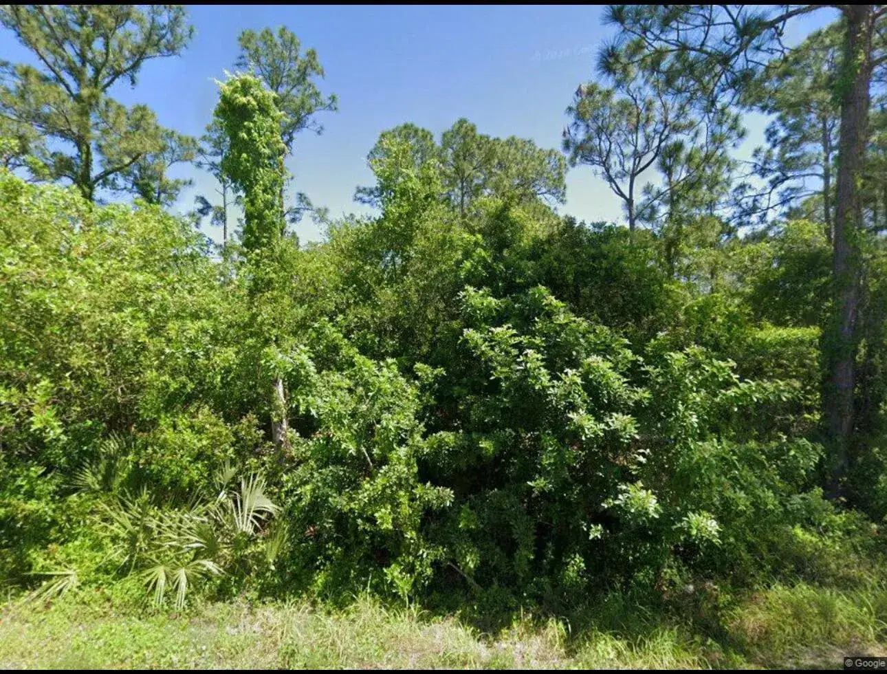 111 Suwannee Lane, Lake Placid FL 33852
