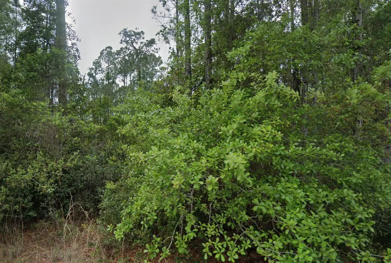 Commercial Land for sale at 107 Glenside Street, FL 32139