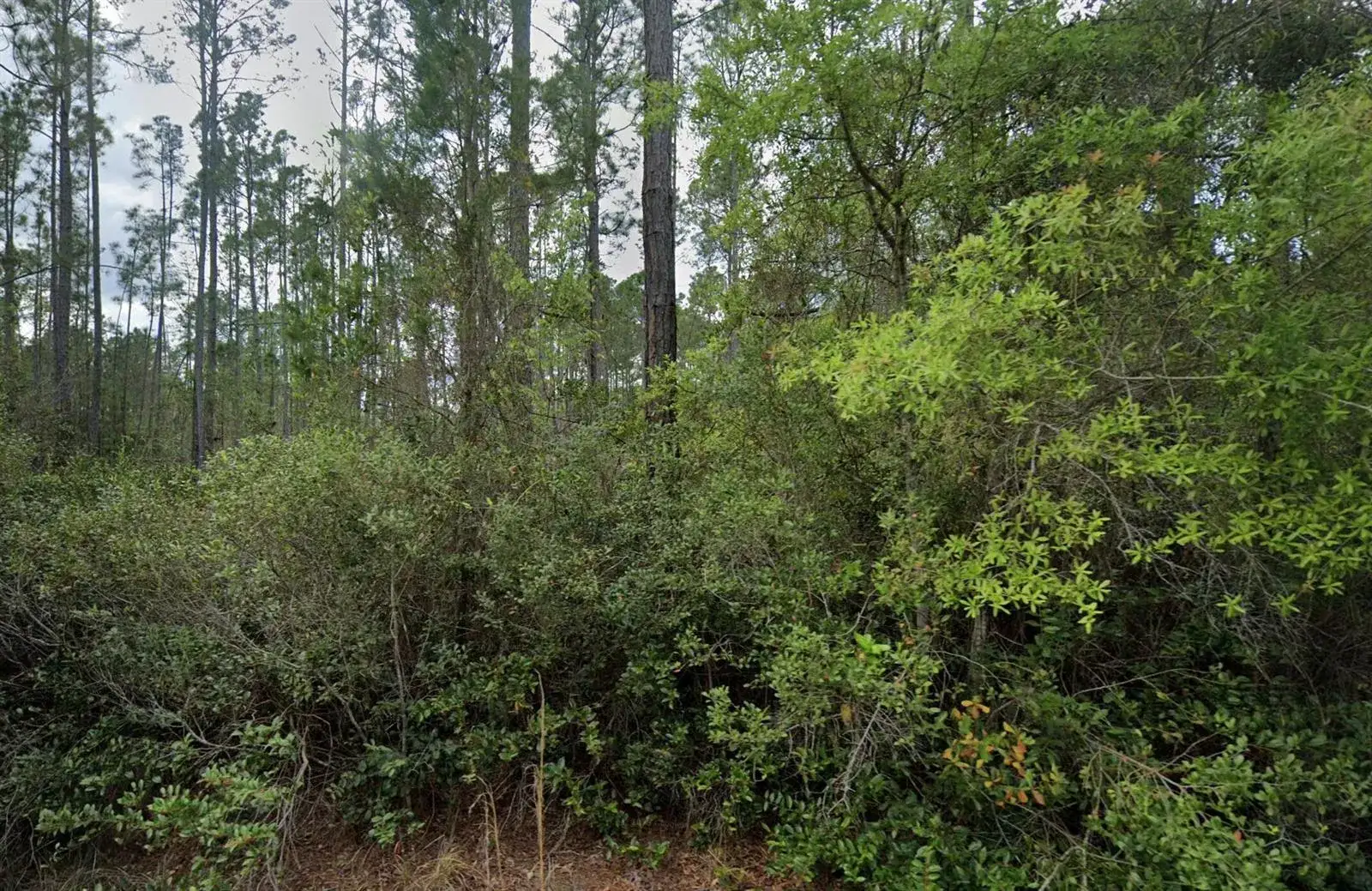 Commercial Land for sale at 105 Glenside Street, FL 32139