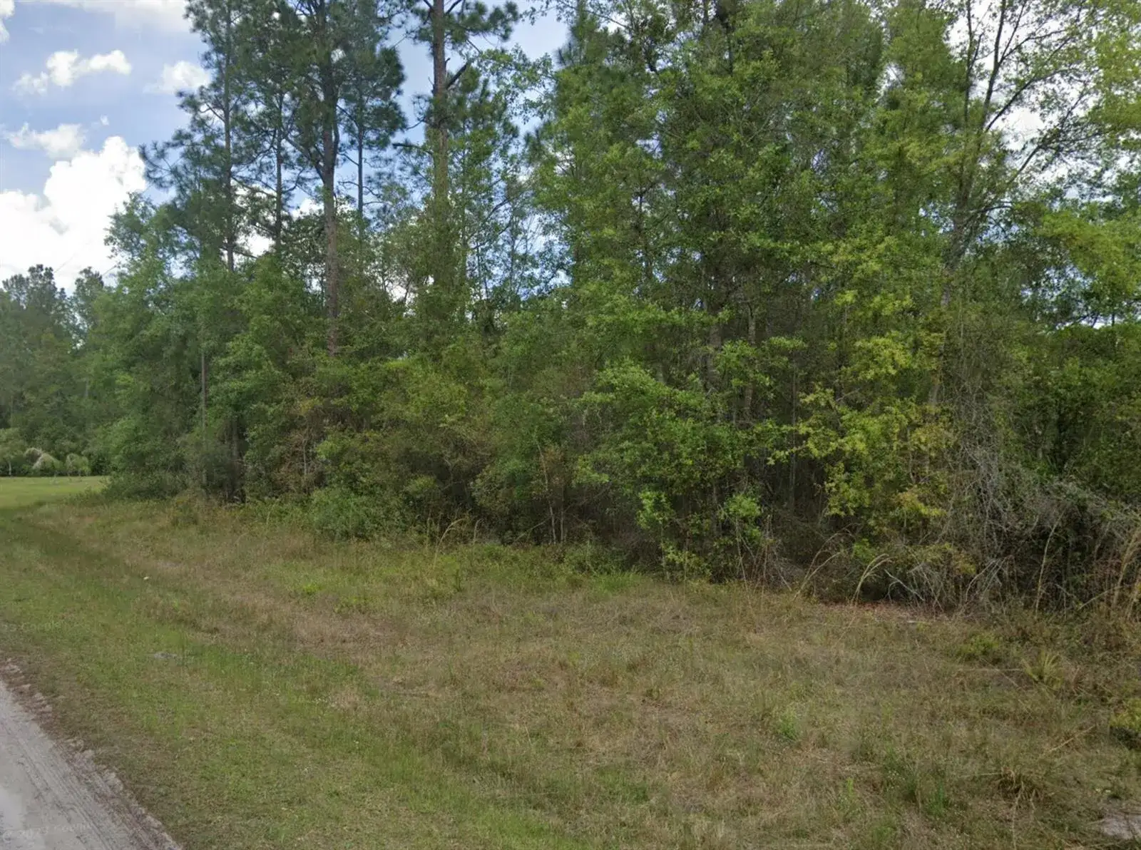 Commercial Land for sale at 103 Glenside Street, FL 32139