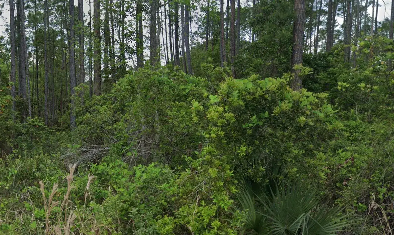 Commercial Land for sale at 00 Glenside Street, FL 32139