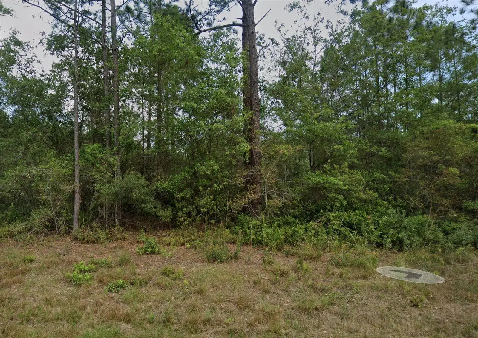 Commercial Land for sale at 124 Roebuck Street, FL 32139