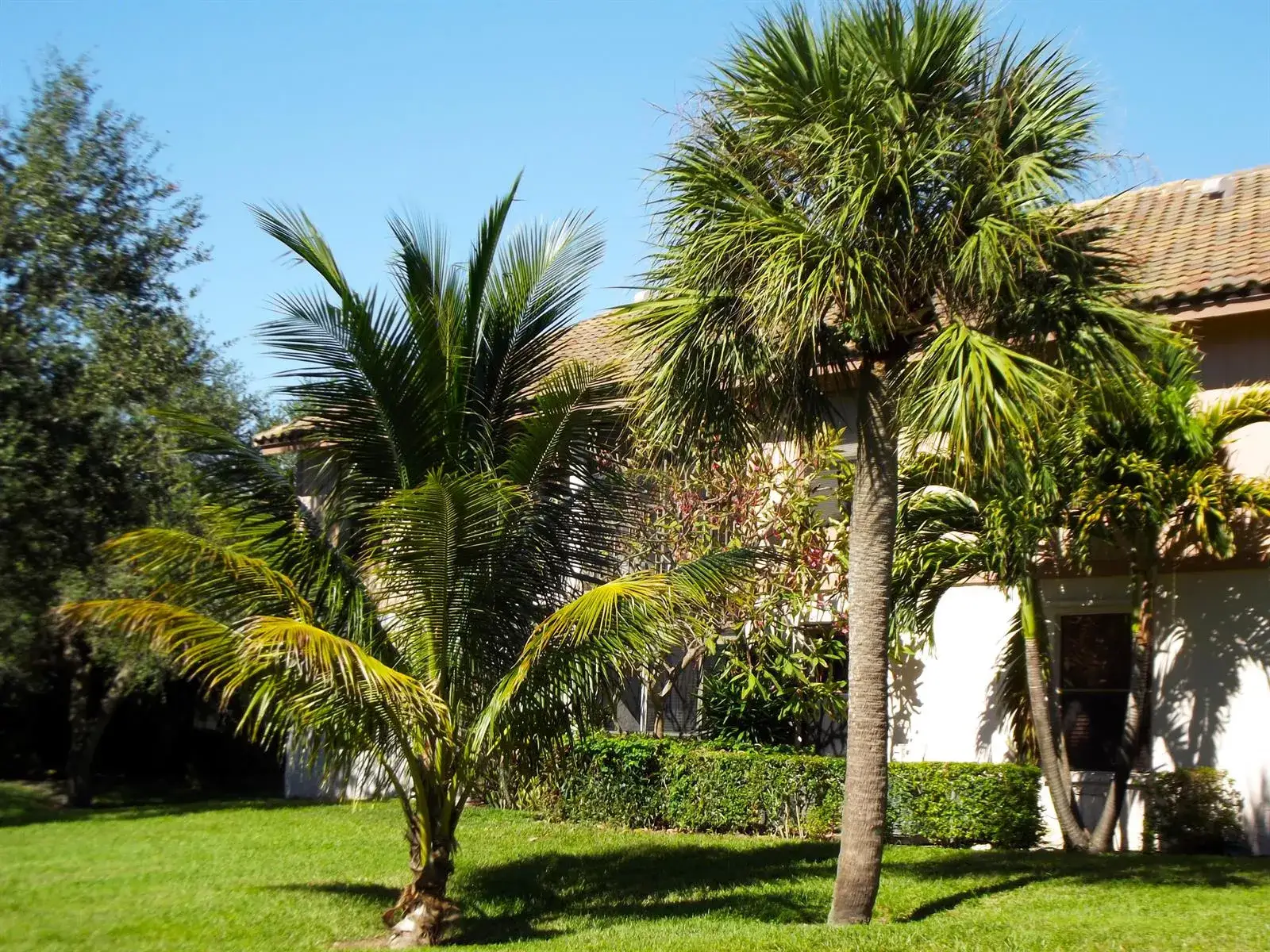 3 bedroom 2 bath Residential Lease for rent at 3355 Jaywood Terrace # 2140, Boca Raton FL 33431
