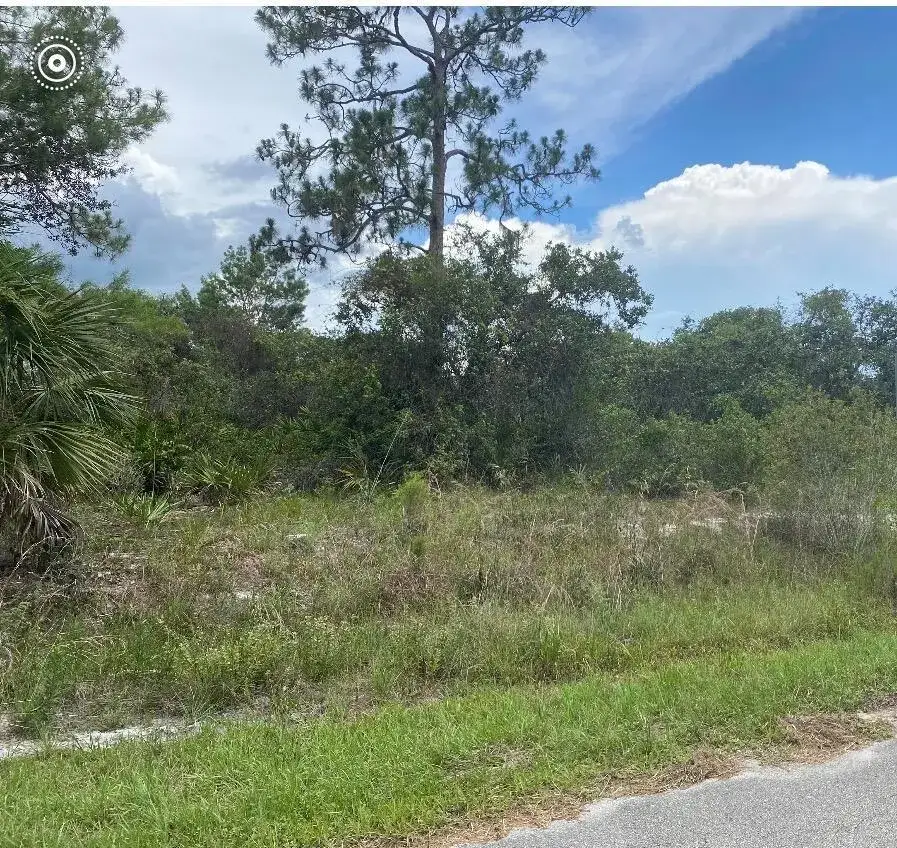 Commercial Land for sale at 1010 Archie Summers Road, Lake Placid FL 33852