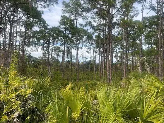 Commercial Land for sale at 12144 Judson Avenue, Port Charlotte FL 33953