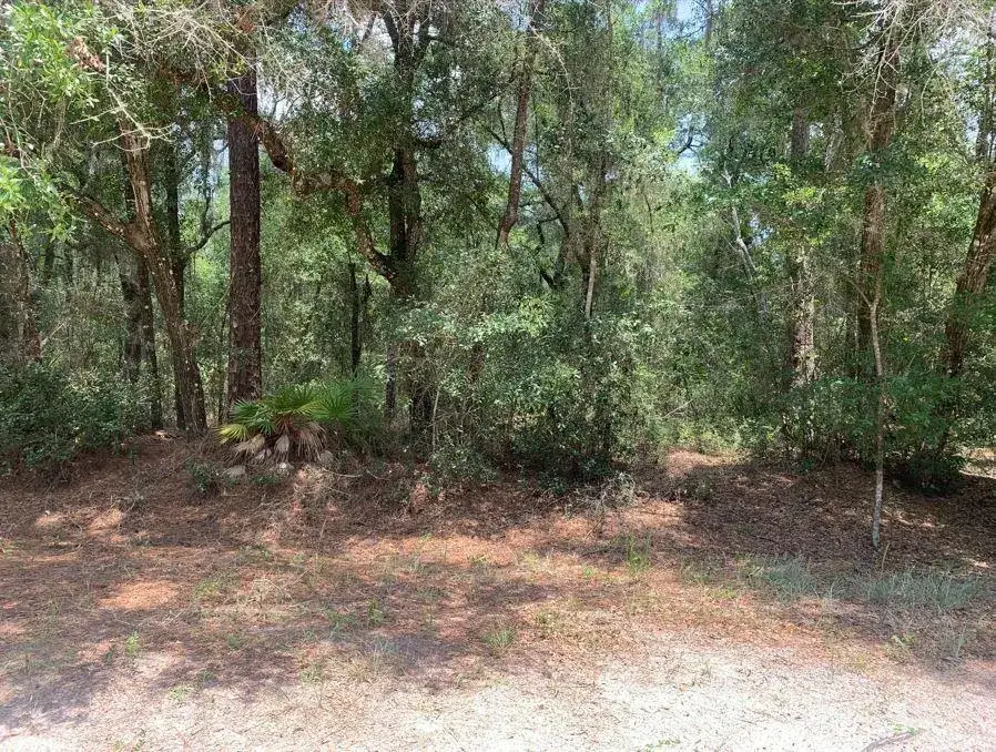 Land/Boat Docks for sale at 112 New Jersey Street, FL 32189